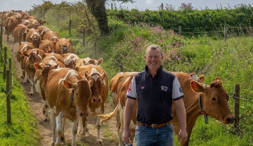 Guernsey Farm Produce: Meet the producer